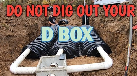 my septic distribution box is full of water|septic tank d box feeding.